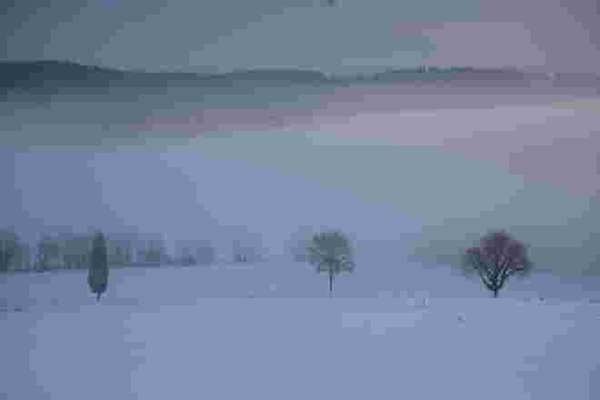 Winter