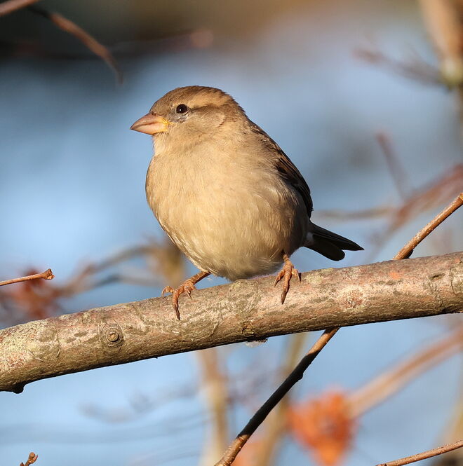 Sitz ich so richtig? ;-)