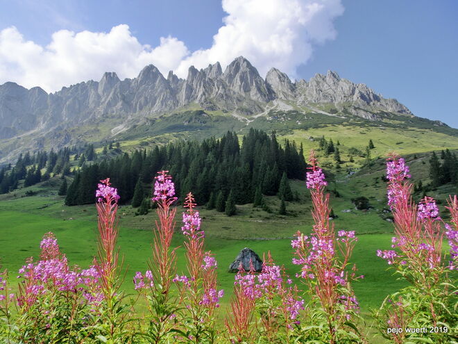 Am Höchkönig Aug19/4