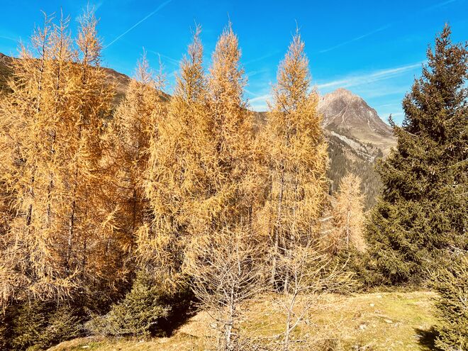 Herbst im Mühlbachtal