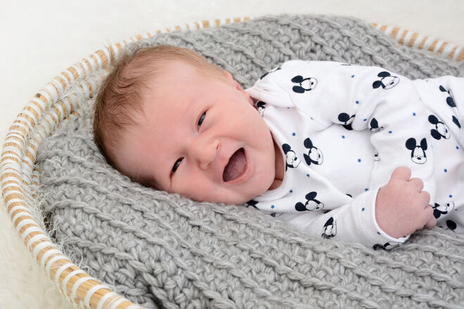 Felix Korbinian Brauner-Brodschelm