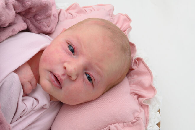 Luisa Katharina Eibl