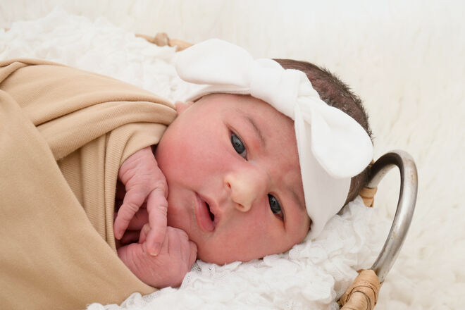 Valerie Fischer-Colbrie