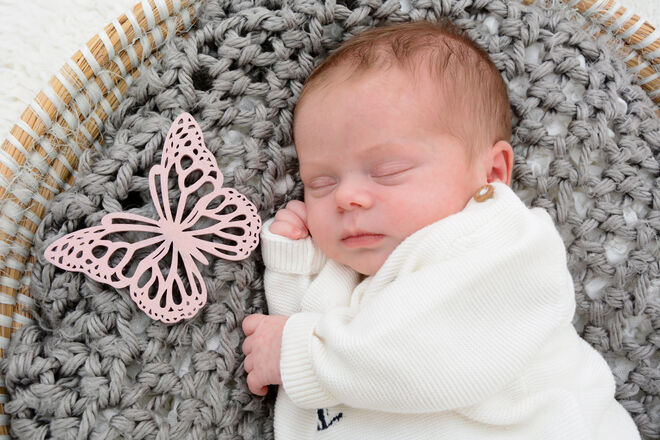 Andrea Maria Kohlroser