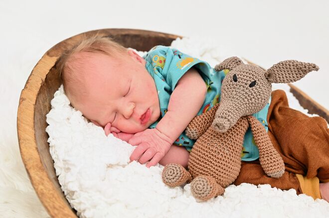 Loris Aaron Sascha Hillerer