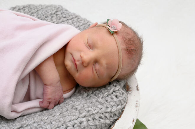 Cataleya Pelliscek Willsdorf