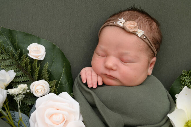 Felicitias Flöckner