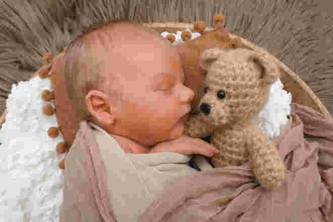 Felix Noah Walter Schreyer
