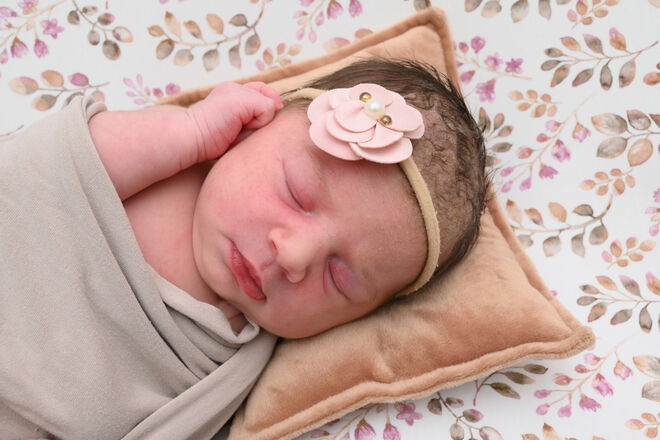 Hanna Diana Stampfer-Bajramovic