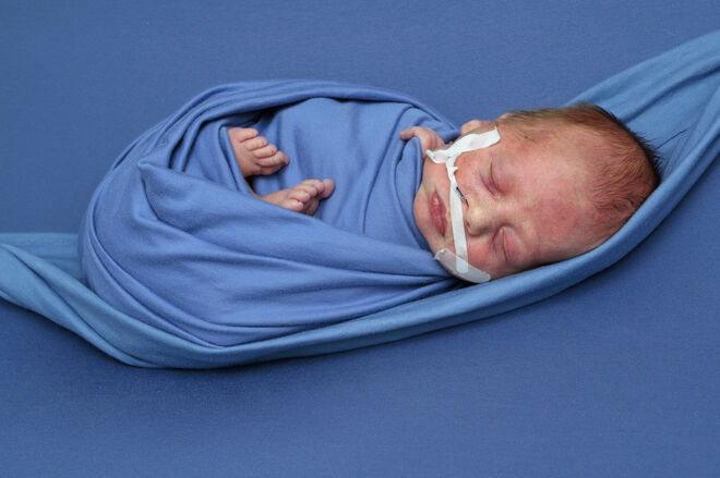 Lukas Michael Brandauer