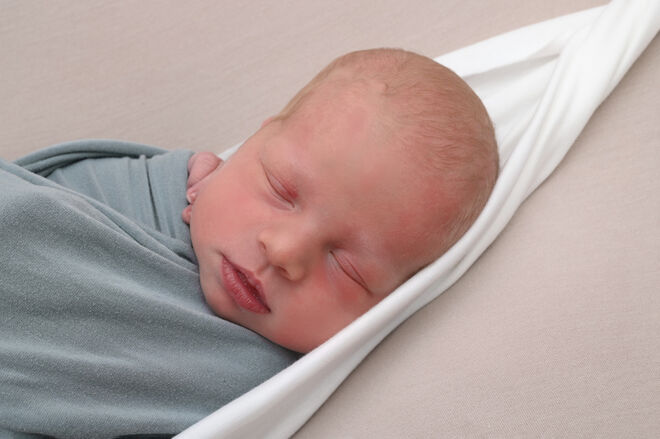 Nikolaus Levi Eigler