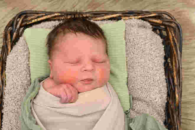Noah Mardjonovic