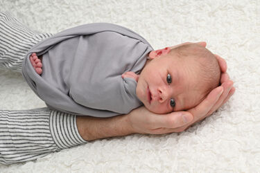 Valentin Hans Lugstein-Herzog