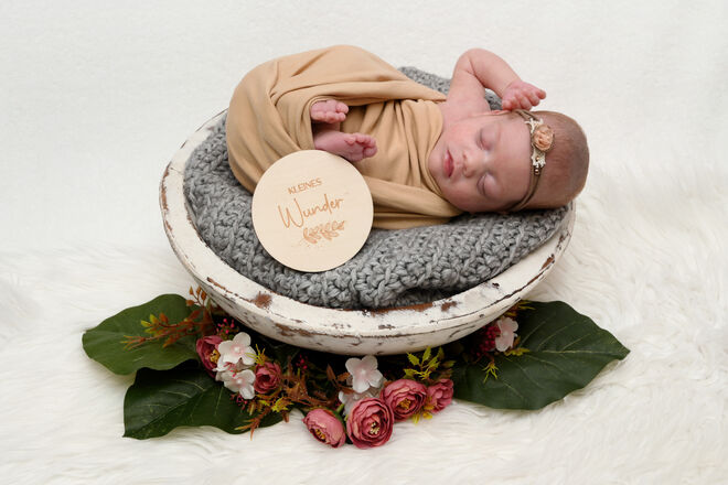 Victoria Hofgärtner