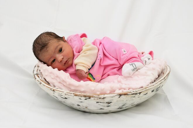 Francisca Lina Regina Micula