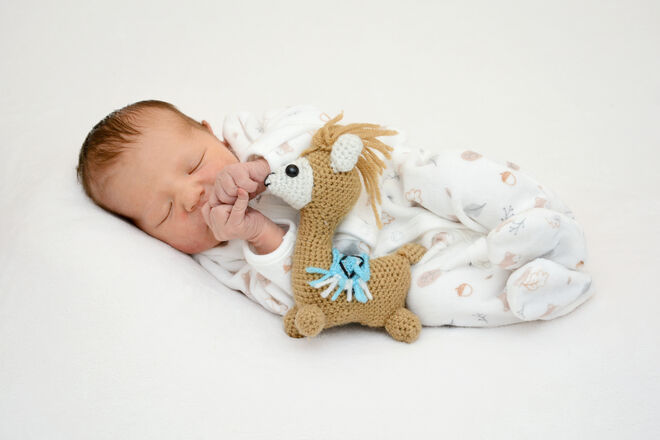 Finn Christoph Huber