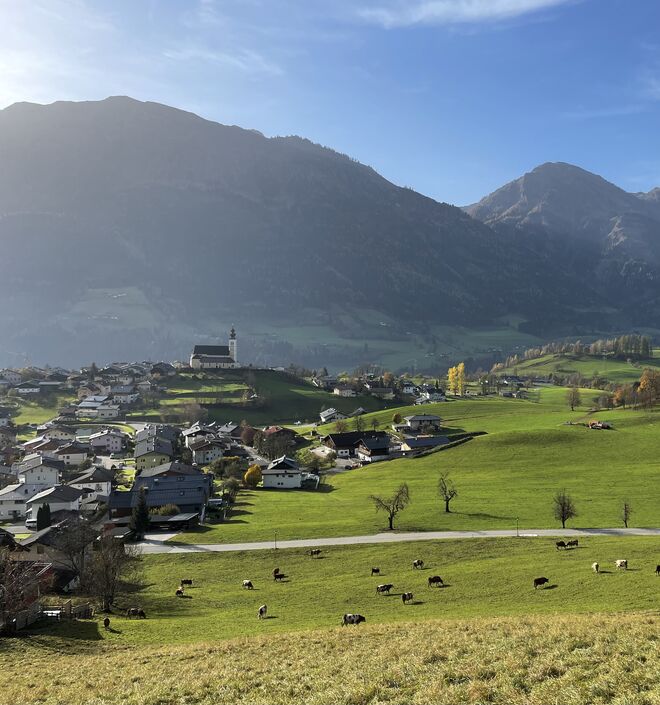 Auf der Salzburger Sonnenterrasse 