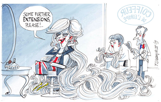 Jetzt wird´s haarig