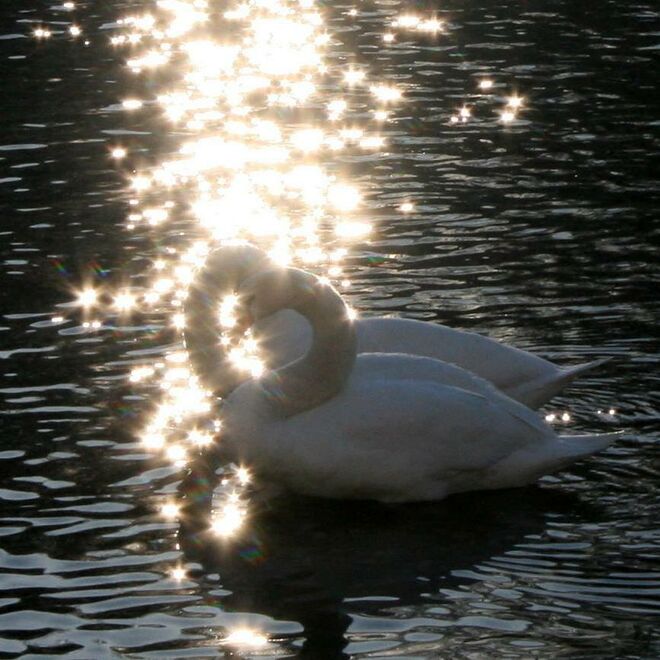 Wünsche euch Allen einen schönen Valentinstag <3