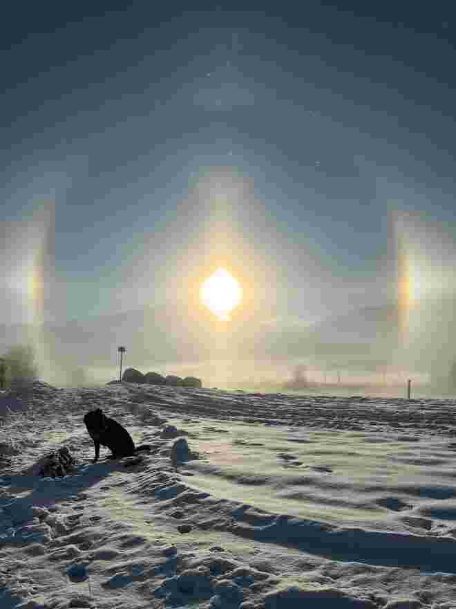 Halo 