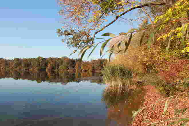Buntes Ufer 
