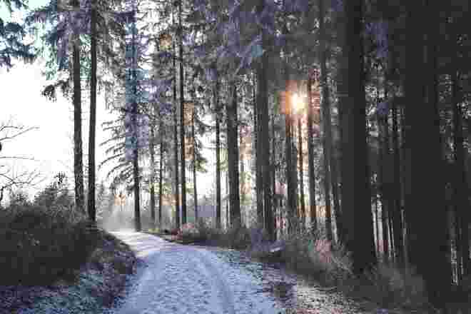Winterwunderland