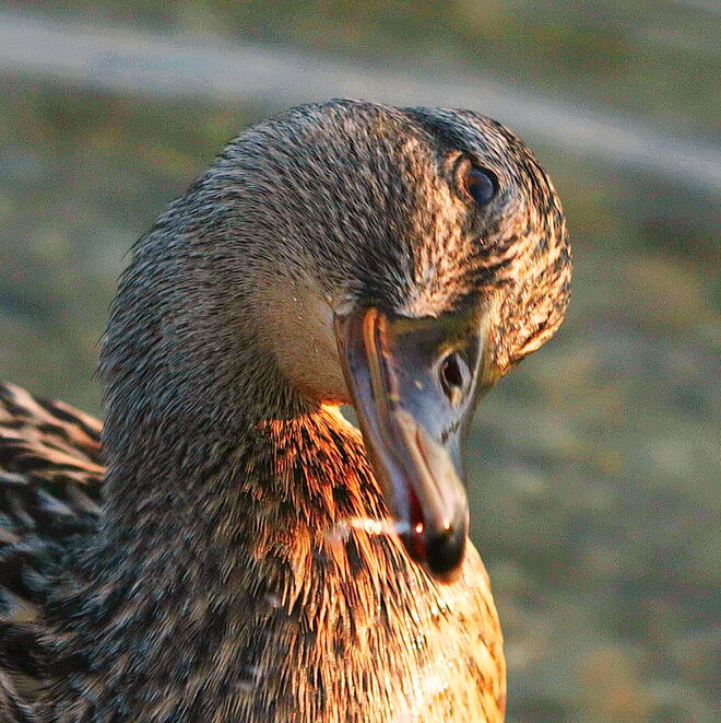 Na, wie wär´s mit uns beiden? ;-)