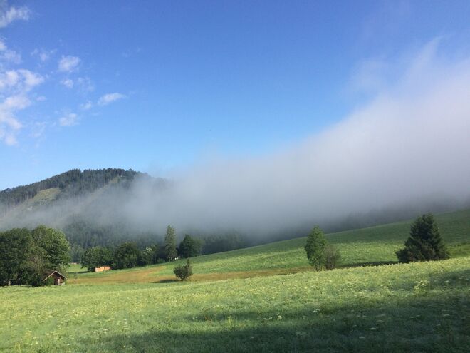 Morgennebel