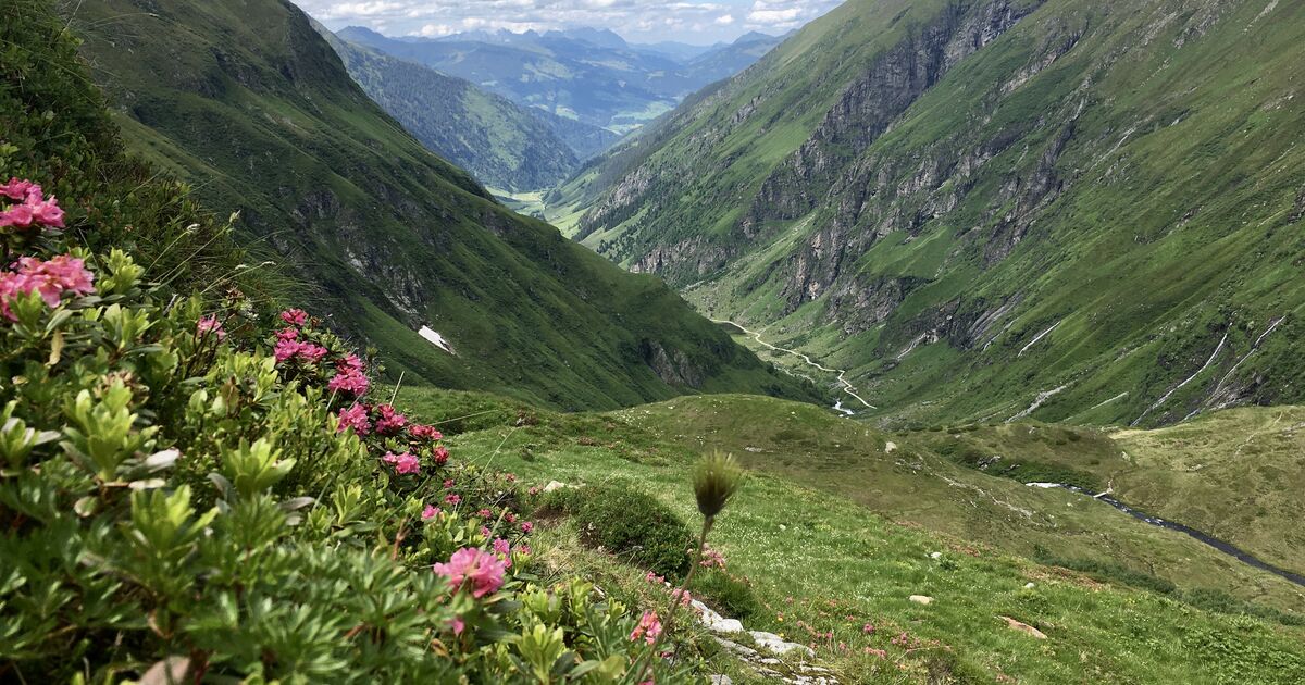 Hollersbachtal in Hollersbach im Pinzgau Schöne Heimat Fotoblog SN.at