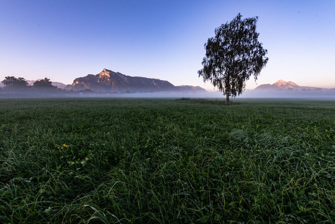 Herbst in Leopoldskron