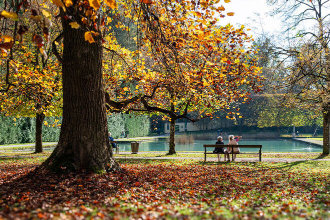 Herbstliche Sonnentage 