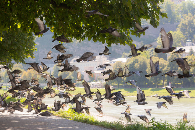 Einen tollen Start ins neue Schuljahr