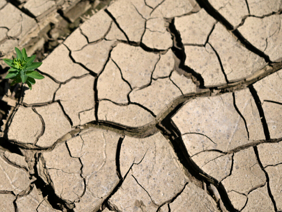 Klimatska kriza za večino Avstrijcev največji izziv