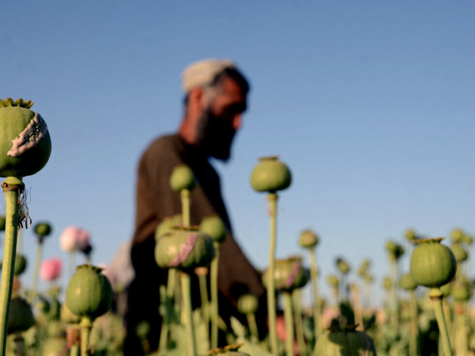 Opiumproduktion in Afghanistan sinkt weiter