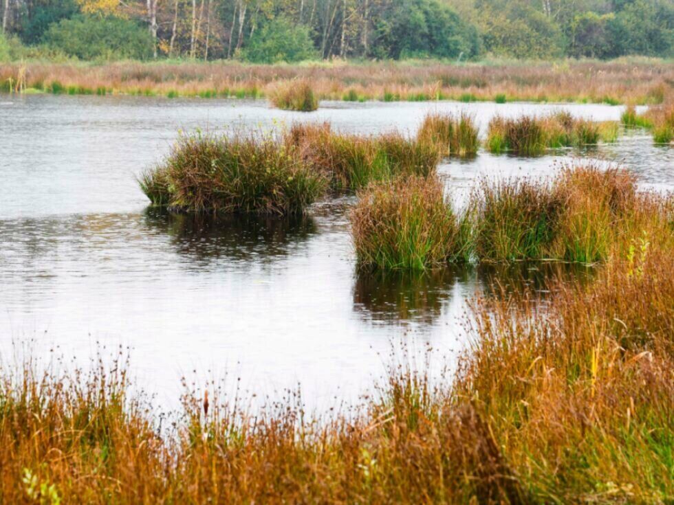 Avstrija posodobila geodetsko bazo podatkov o barjih po 33 letih