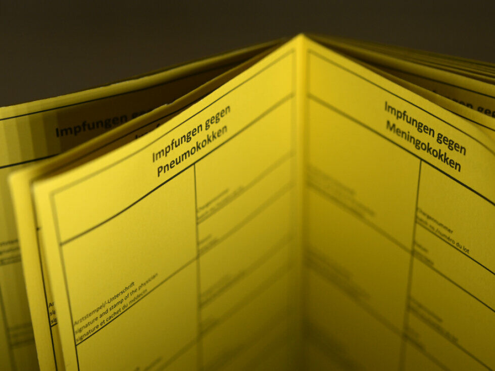 Na Dunaju veliko zanimanje za brezplačna cepljenja proti pasovcu in pnevmokoknim okužbam