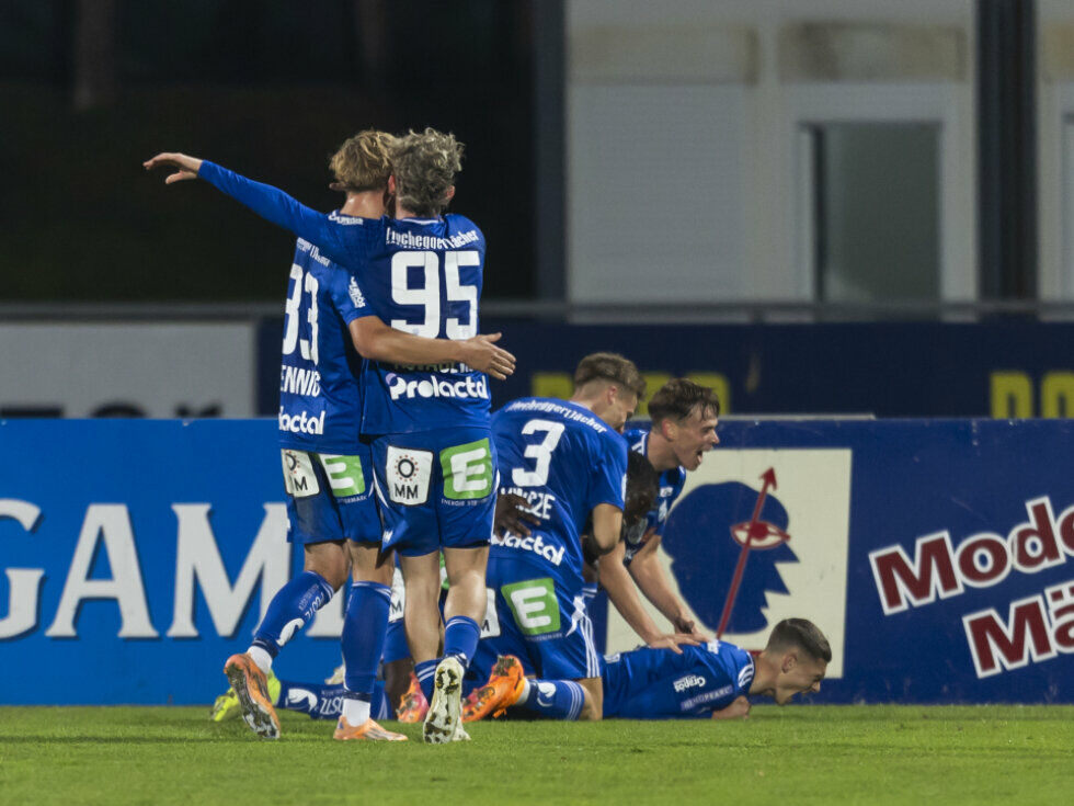 Austria, Hartberg und Ried feiern 2:1-Siege