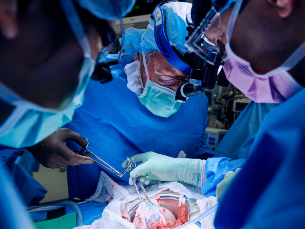 Število bolnikov s kronično ledvično boleznijo se je od leta 1990 več kot podvojilo