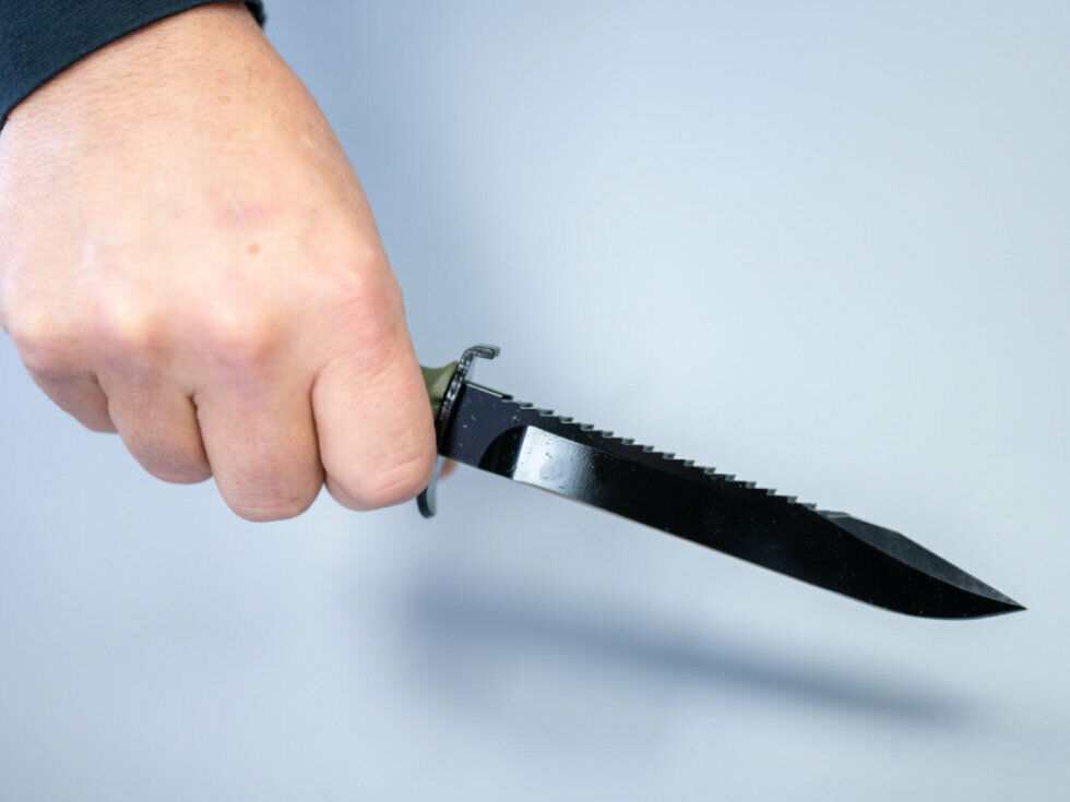 Gatte und möglicher Rivale nach Stichen in Wien festgenommen