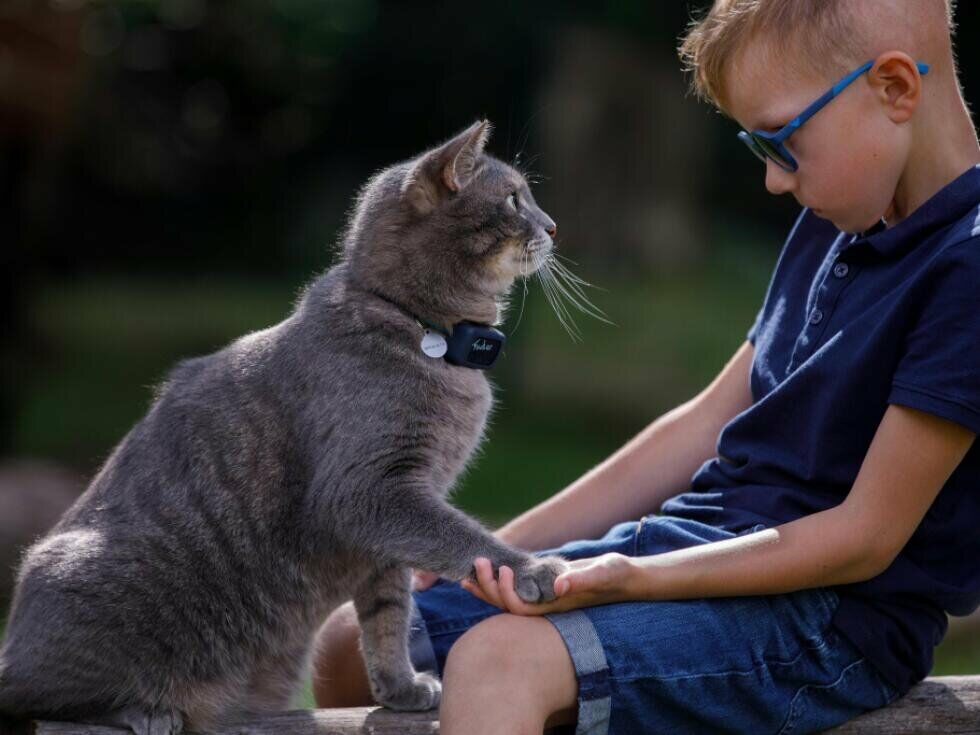 "Dr. Katze": Das Gesamtpaket Katze wirkt