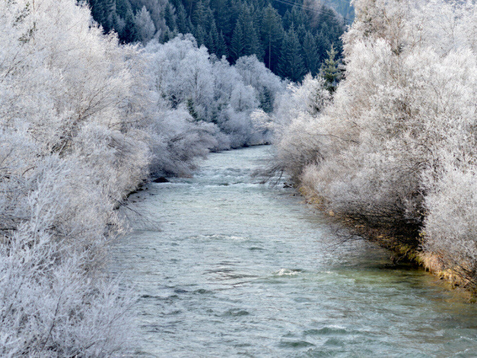 Slowenien und Österreich renaturieren an der Mur