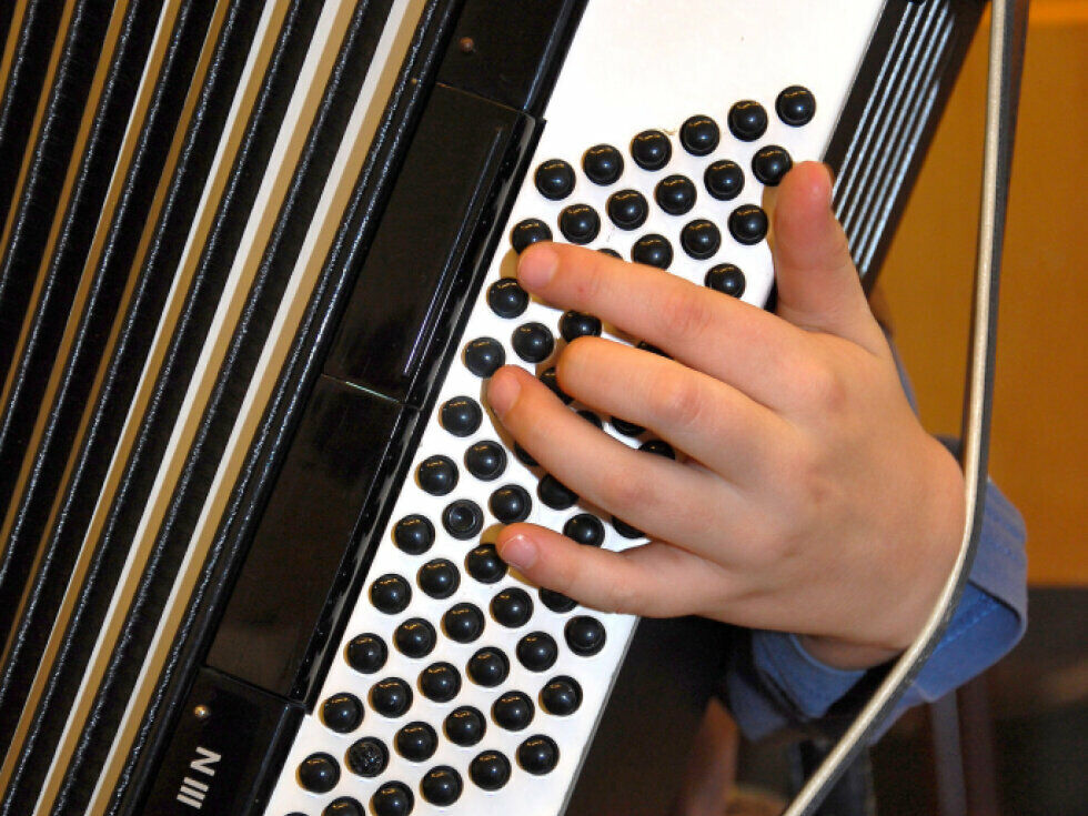 Einbrecher in der Oststeiermark stahlen Musikinstrumente