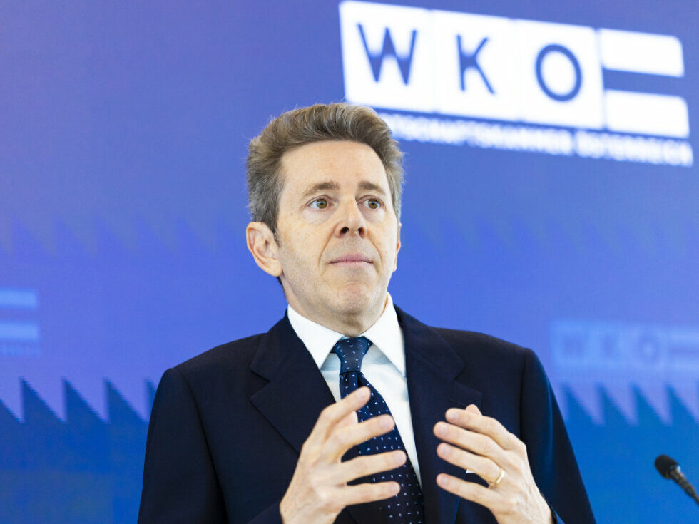 In der Wirtschaftskammer gärt es