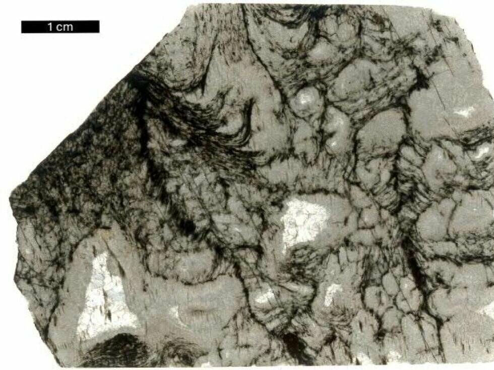 Znanstveniki in umetna inteligenca odkrili »odmev življenja« v starodavnih kamninah