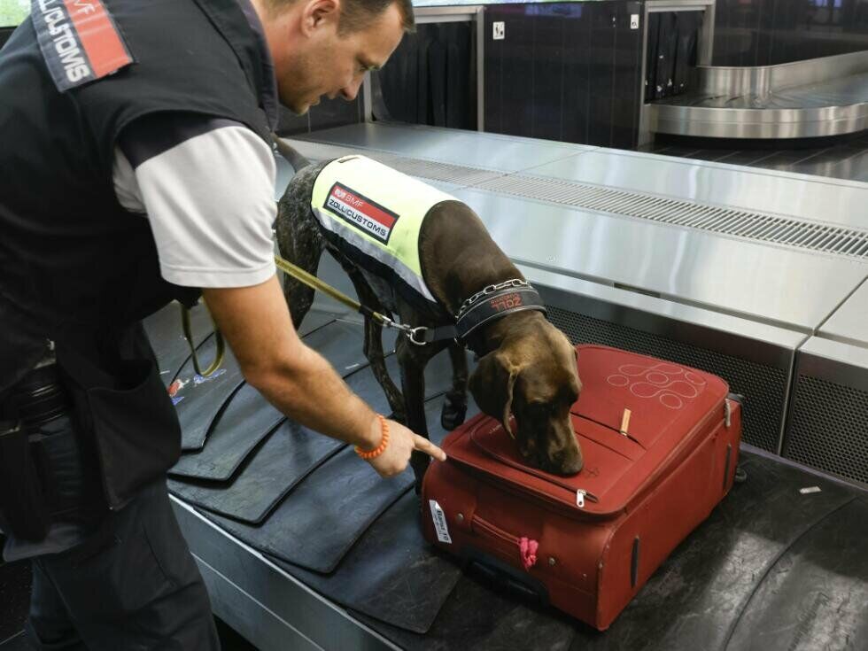 Fast 400.000 Schmuggel-Zigaretten im Sommer sichergestellt