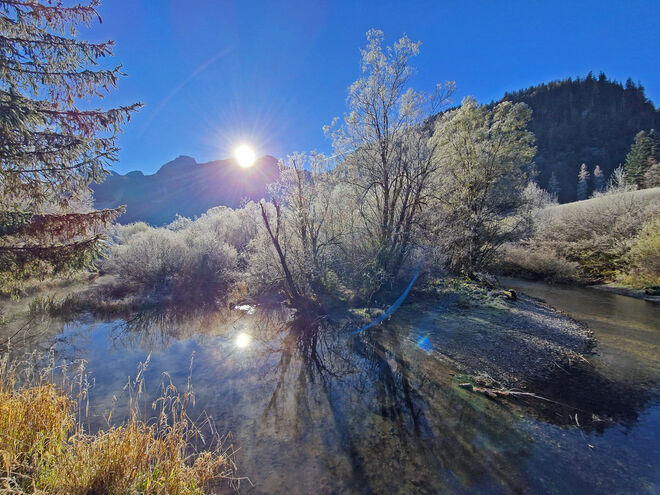 Die Sonne  scheint im Bachbett