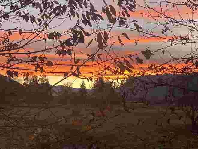 Morgenstimmung 