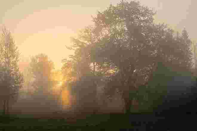 Nebliger Herbstmorgen