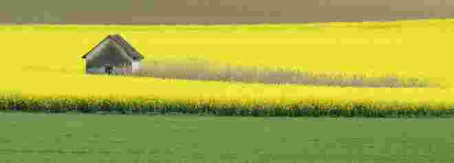 Frühlingsfarben