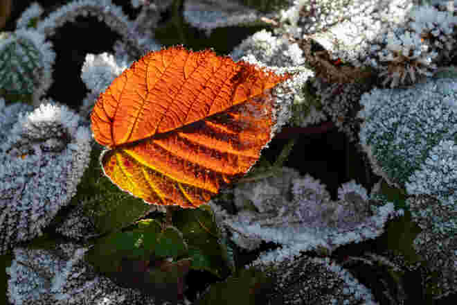Lichtblick  am 1. Adventsonntag